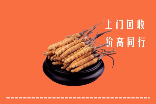 高价求购：大理剑川回收散虫草