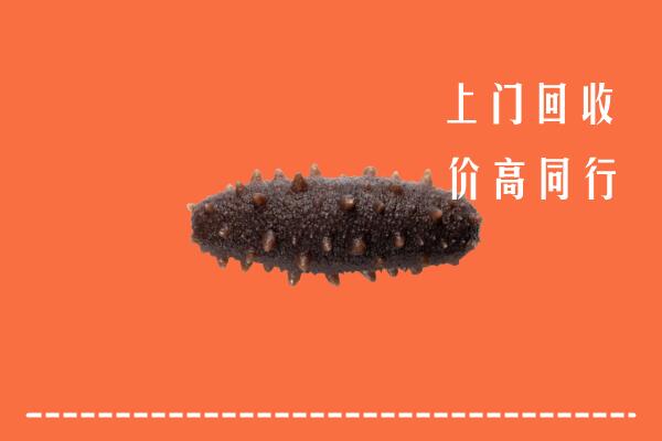 高价求购：大理剑川回收海参