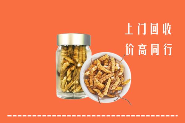 大理剑川回收冬虫夏草