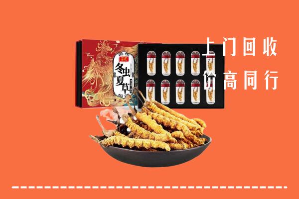 大理剑川回收虫草